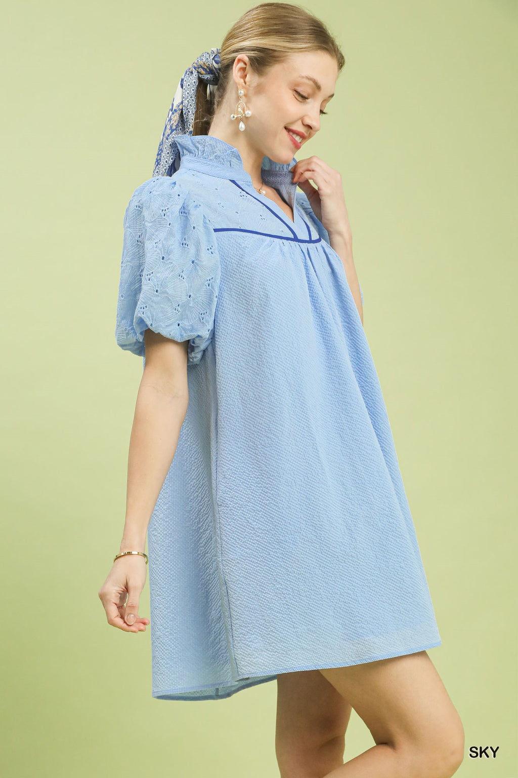 Textured Puff Sleeve Babydoll Dress -