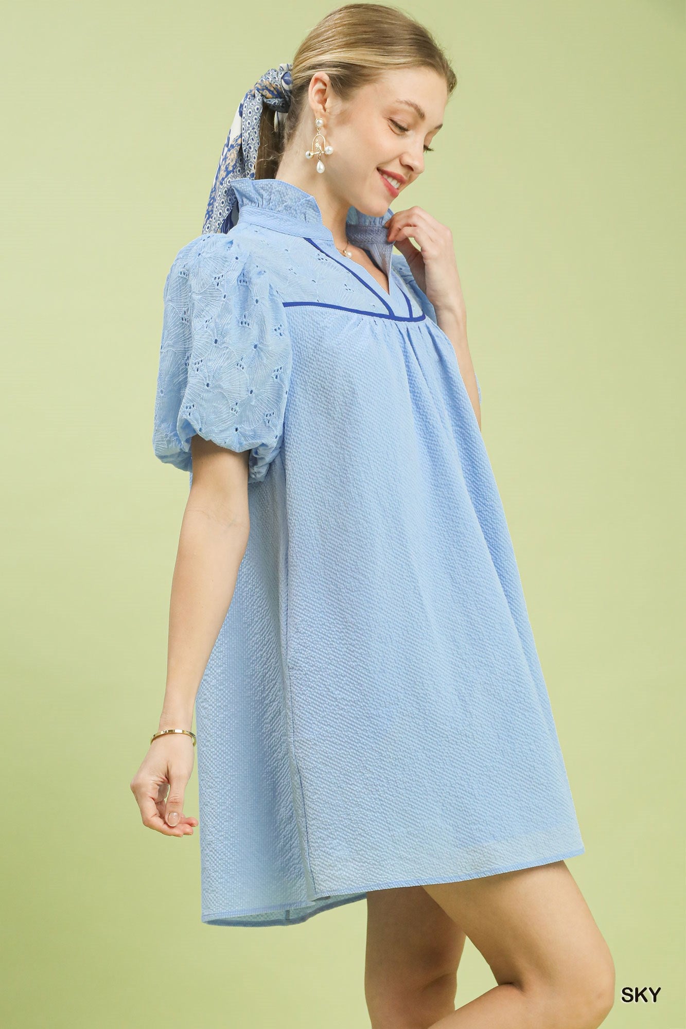 Textured Puff Sleeve Babydoll Dress -