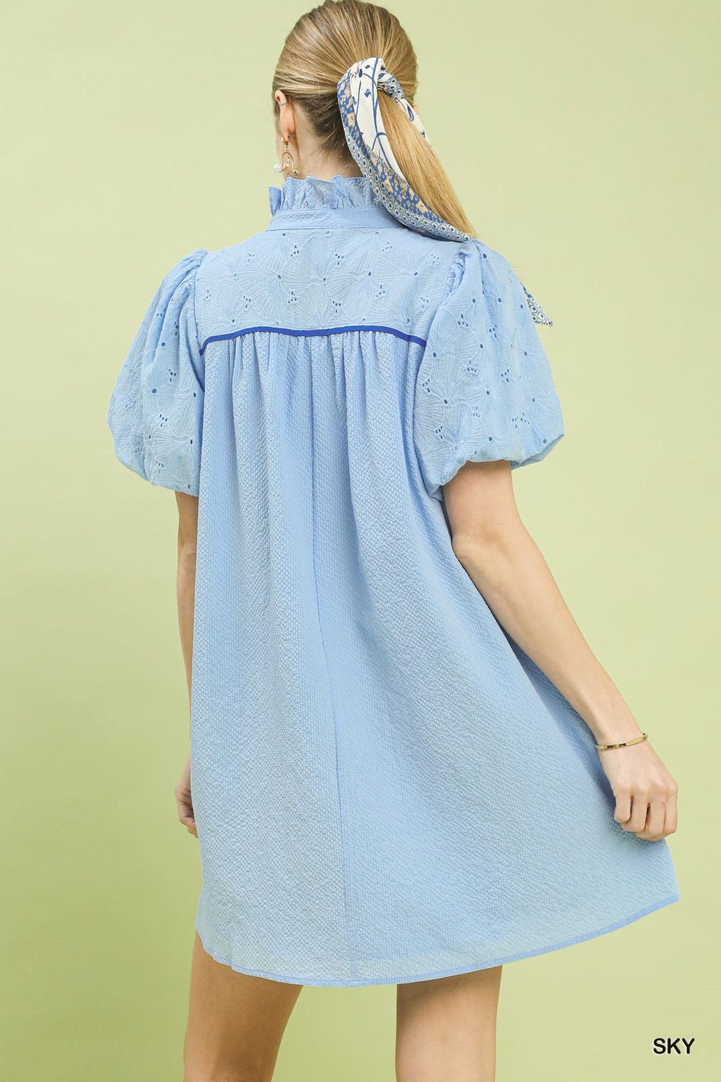 Textured Puff Sleeve Babydoll Dress -