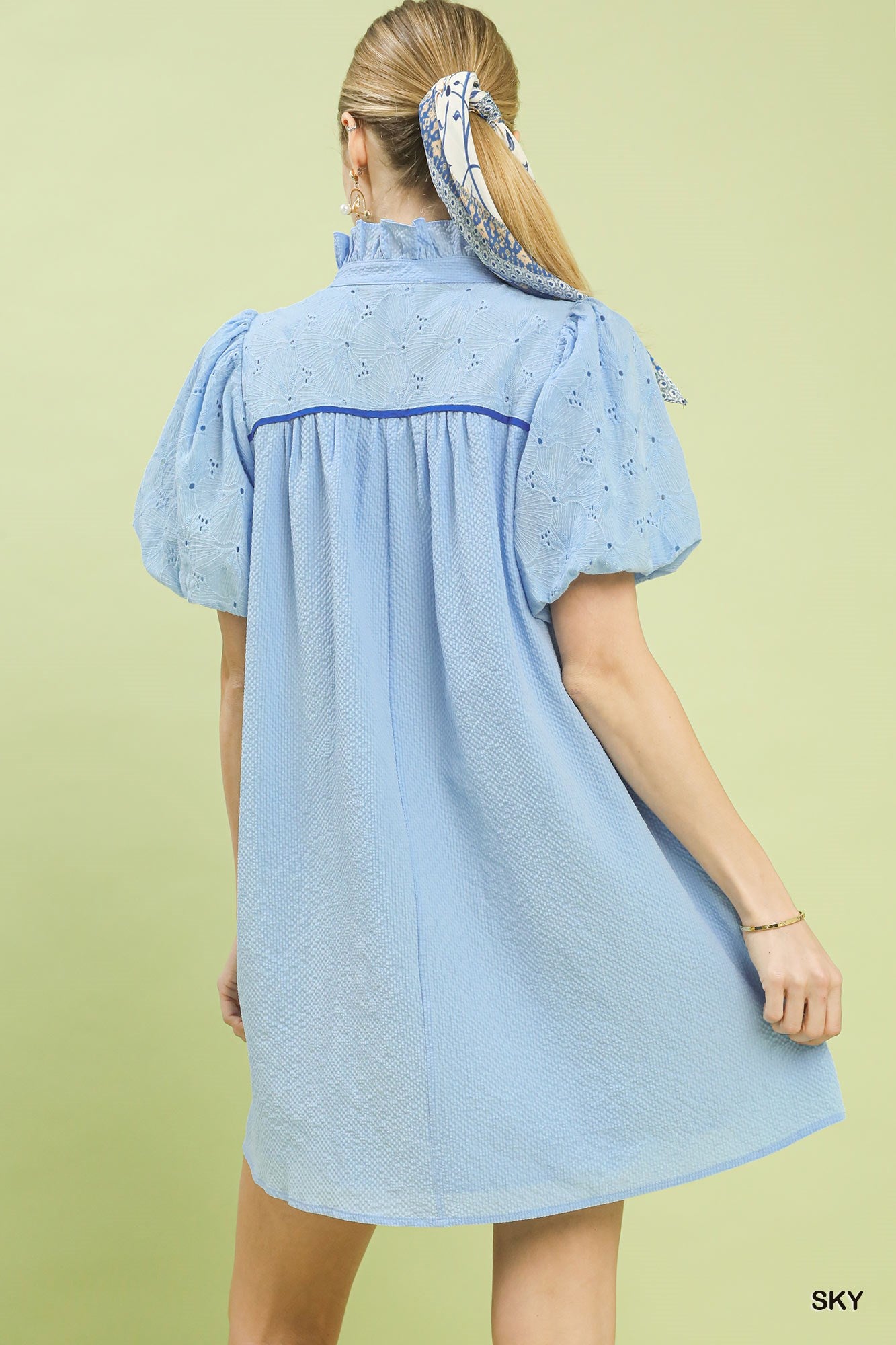 Textured Puff Sleeve Babydoll Dress -