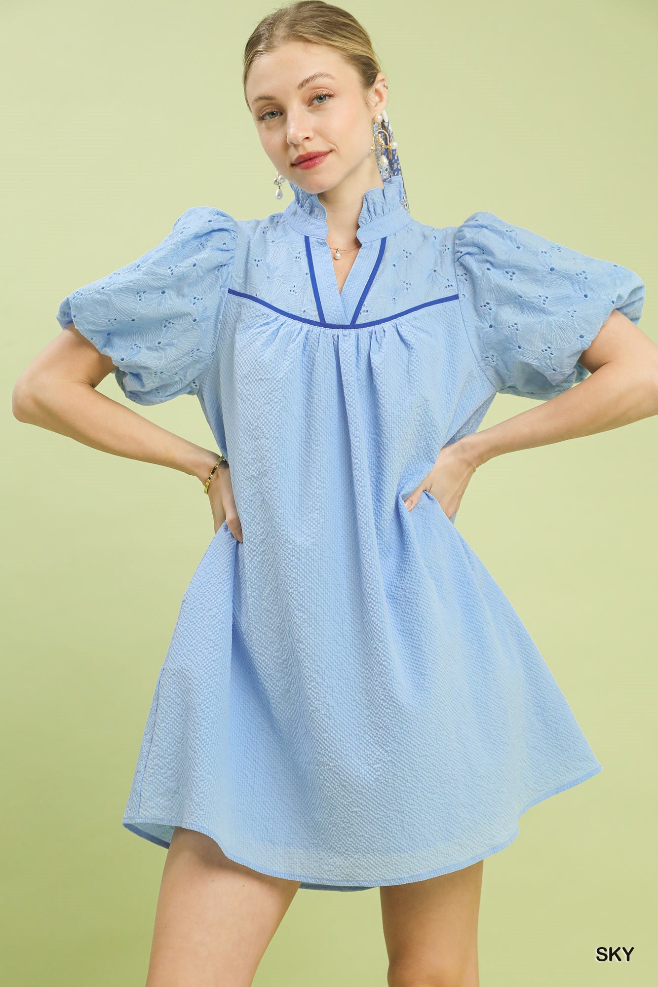 Textured Puff Sleeve Babydoll Dress -