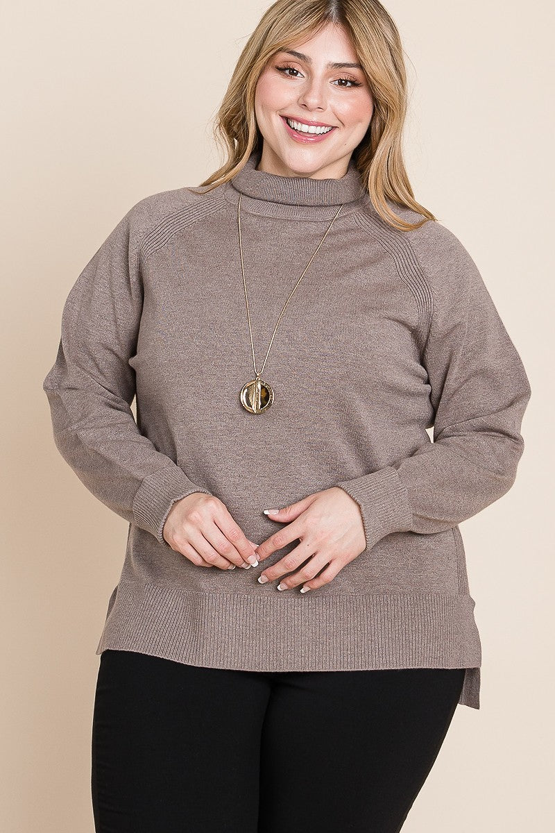 Soft Knit Turtleneck Sweater -