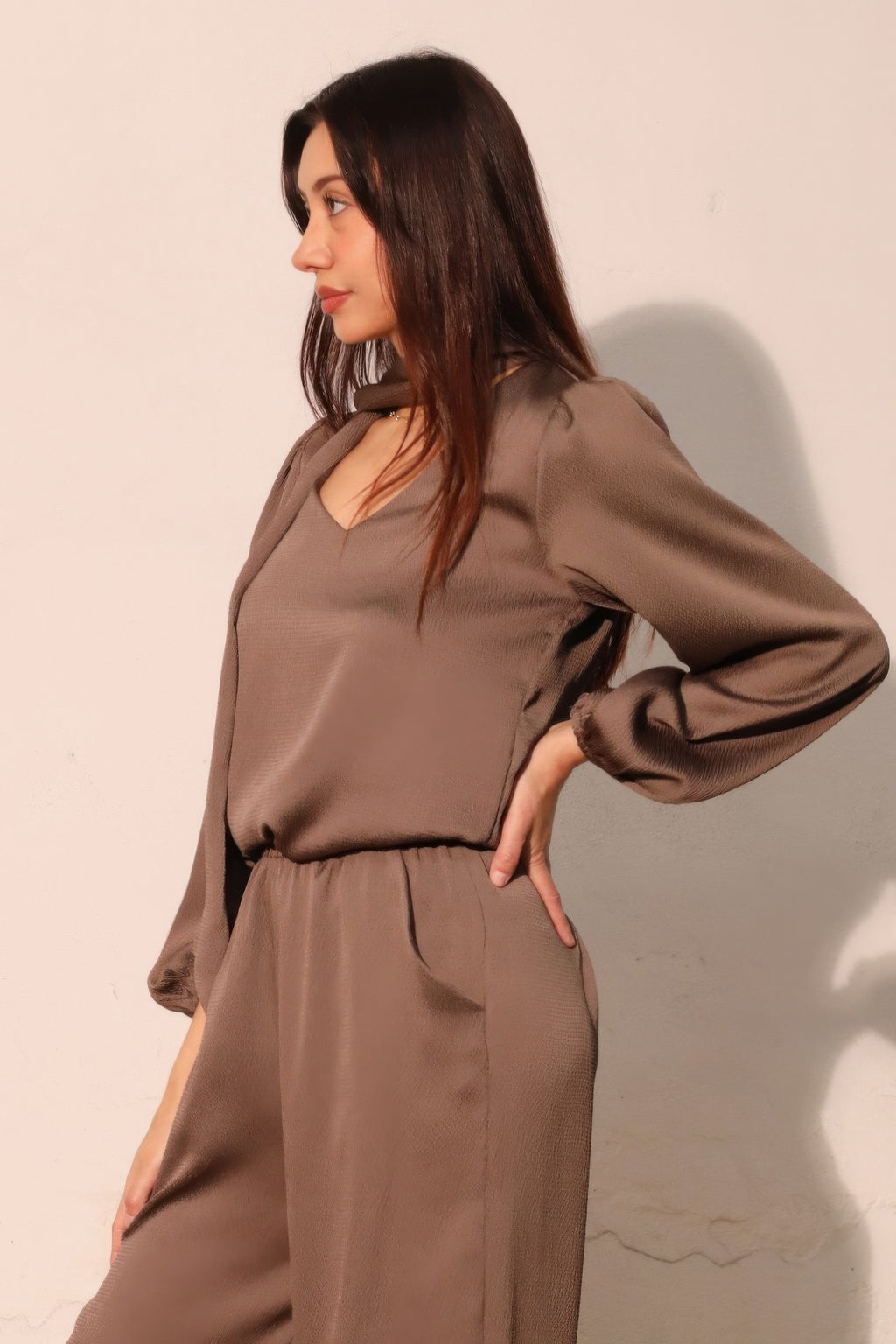 Tie Neck Hammered Satin Blouse -