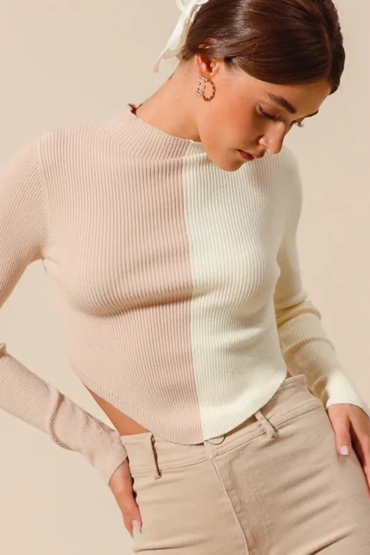 Fitted Color Block Crop Sweater -