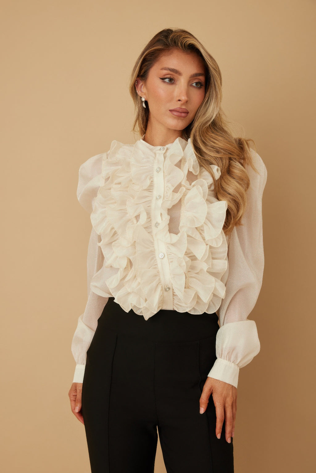 Ruffle Micro Crystal Long Sleeve Blouse -