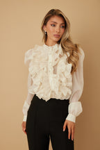 Ruffle Micro Crystal Long Sleeve Blouse -