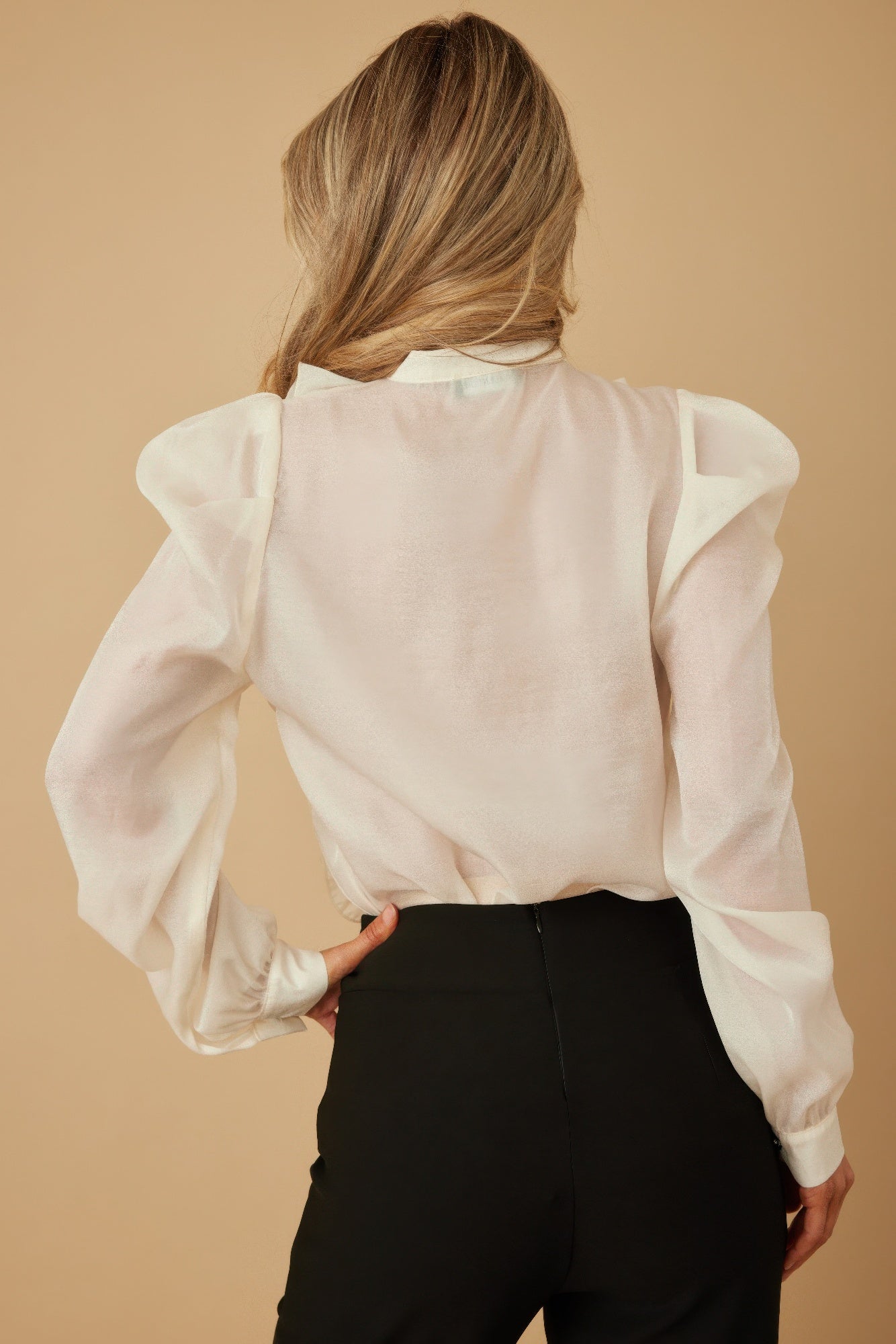 Ruffle Micro Crystal Long Sleeve Blouse -