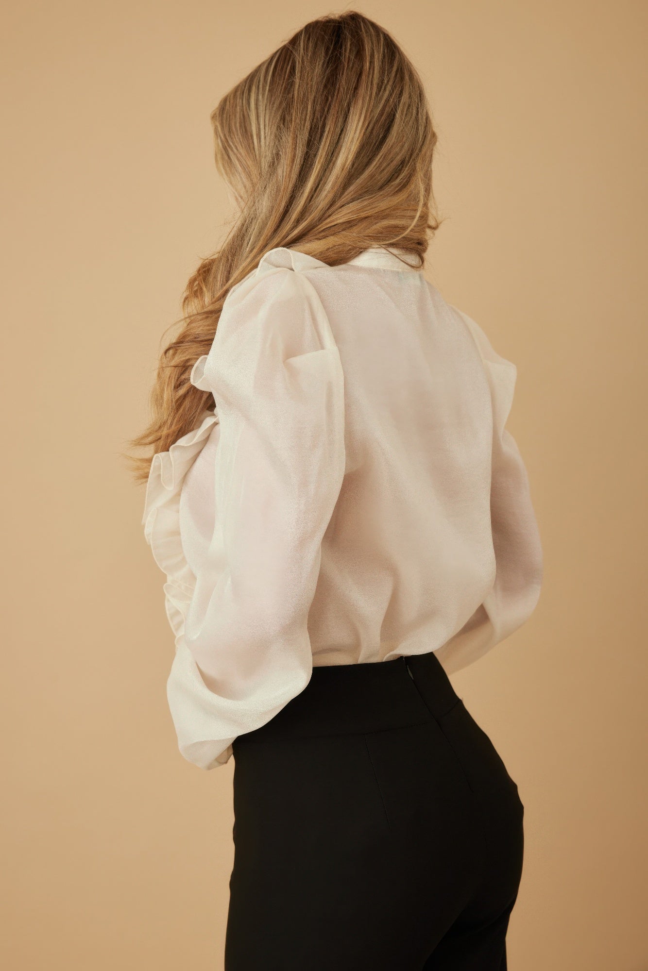 Ruffle Micro Crystal Long Sleeve Blouse -