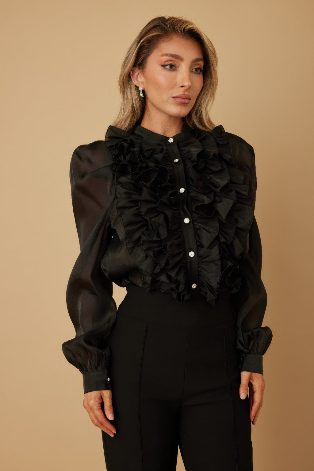 Ruffle Micro Crystal Long Sleeve Blouse -