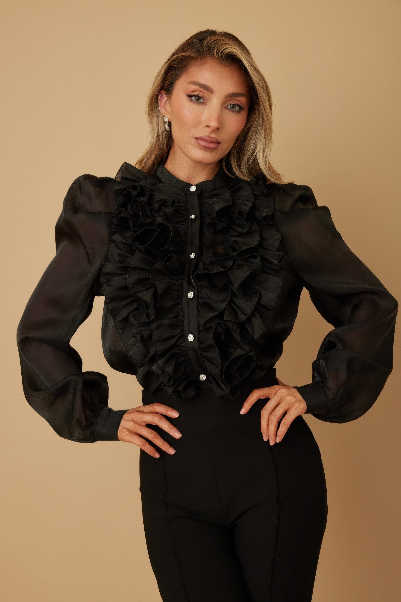 Ruffle Micro Crystal Long Sleeve Blouse - Black