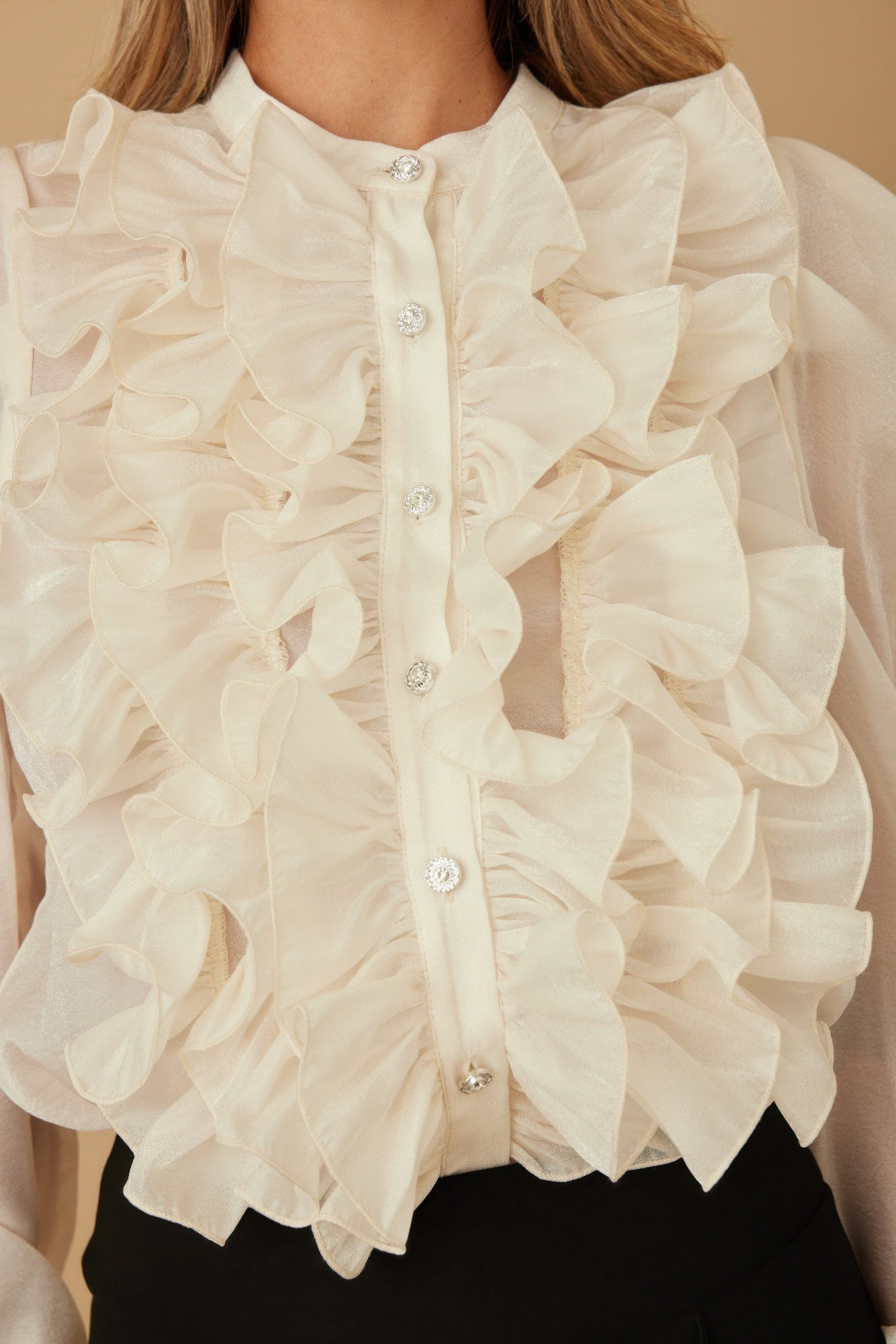 Ruffle Micro Crystal Long Sleeve Blouse -